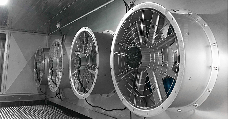 فريزر نفقي بقدرة 2 طن للبروكلي والقرنبيط والملفوف في الصين