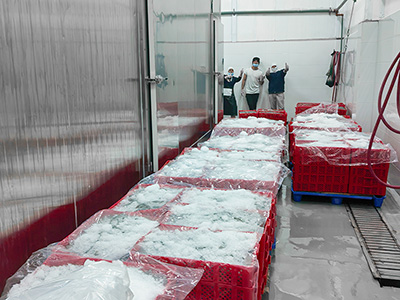 مجمد (فريزر) سريع بالمحلول الملحي بسعة 2000 كجم/ساعة لتجميد الروبيان – الإكوادور