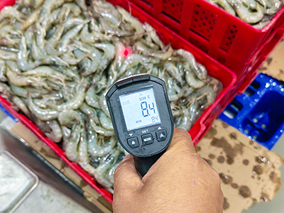 مجمد (فريزر) سريع بالمحلول الملحي بسعة 2000 كجم/ساعة لتجميد الروبيان – الإكوادور