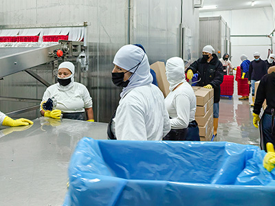 مجمد (فريزر) سريع بالمحلول الملحي بسعة 2000 كجم/ساعة لتجميد الروبيان – الإكوادور