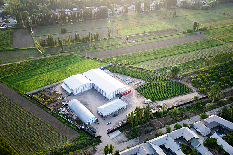 مجمد سريع بتقنية السرير المميع بطاقة 2000 كجم/ساعة لتجميد التوت والفراولة في قيرغيزستان