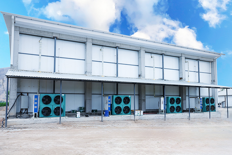 مجمد سريع بتقنية السرير المميع بطاقة 2000 كجم/ساعة لتجميد التوت والفراولة في قيرغيزستان