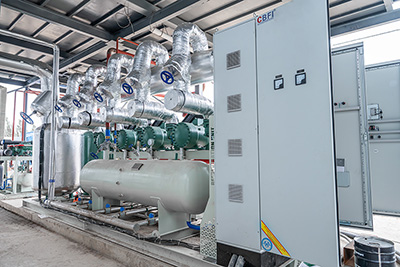 مجمد سريع بتقنية السرير المميع بطاقة 2000 كجم/ساعة لتجميد التوت والفراولة في قيرغيزستان