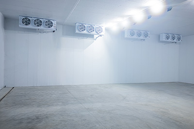 مجمد سريع بتقنية السرير المميع بطاقة 2000 كجم/ساعة لتجميد التوت والفراولة في قيرغيزستان