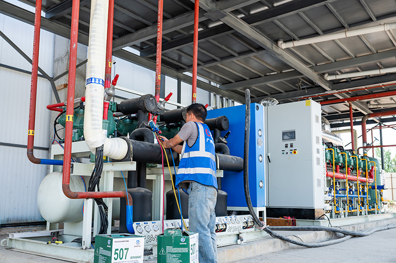 مجمد سريع بتقنية السرير المميع بطاقة 2000 كجم/ساعة لتجميد التوت والفراولة في قيرغيزستان