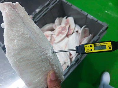 مجمد نفقي سريع التجميد لتجميد شرائح السمك في إندونيسيا