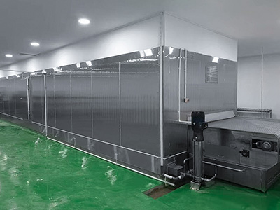 مجمد نفقي سريع التجميد لتجميد شرائح السمك في إندونيسيا