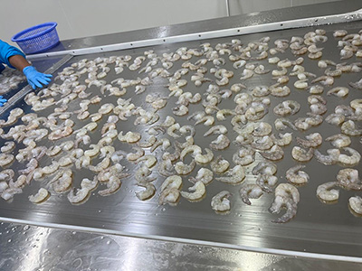 مجمد نفقي سريع التجميد لتجميد الجمبري في تايلند