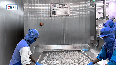 مجمد نفقي سريع التجميد لتجميد الجمبري في تايلند